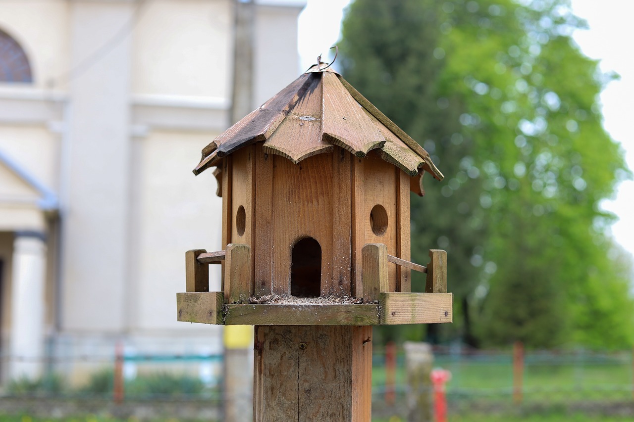 Through Tenon Joints: A Detailed Tutorial